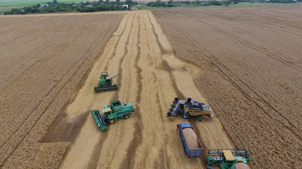 Harvesting Barley Harvesters alt