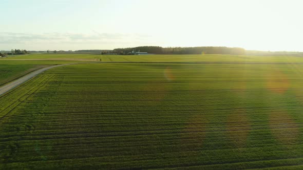 Flight Over Green Farm Field