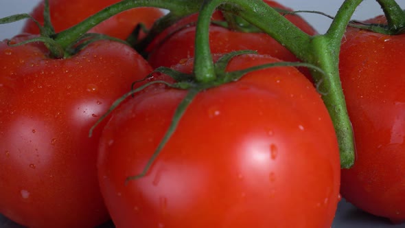 Tomatoes on a Branch Rotate Closeup