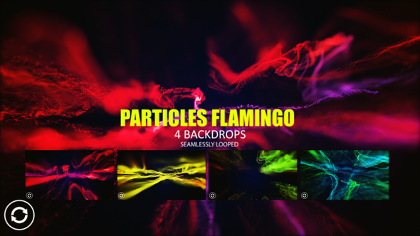 Particles Flamingo