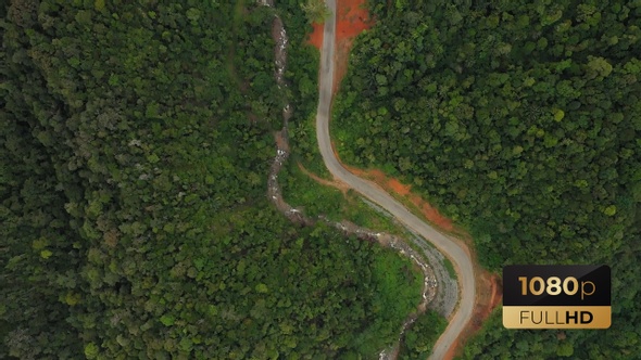 AH - Forest And Road V6 alt