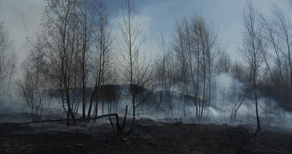 Spring Forest Fires In Ukraine alt