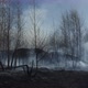 Spring Forest Fires In Ukraine - VideoHive Item for Sale