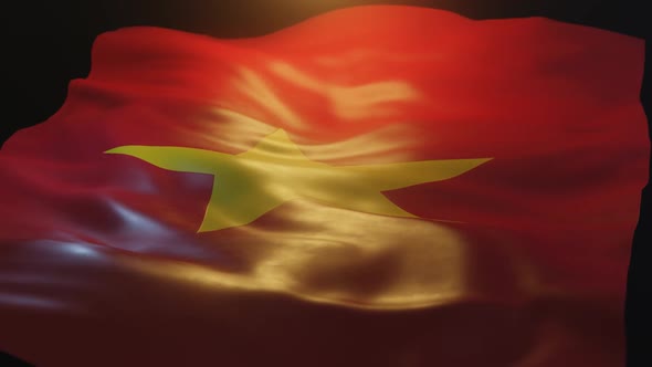 Vietnam Flag Low Angle View