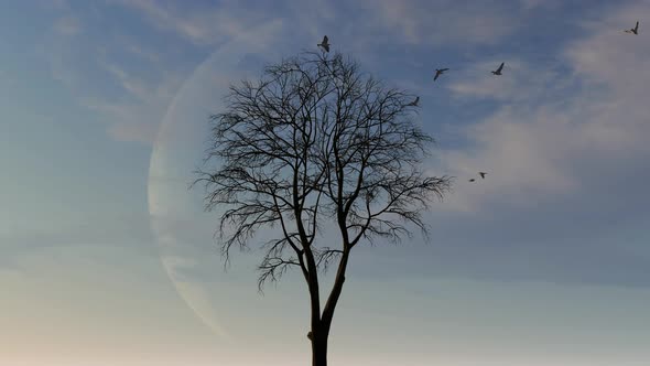 Epic Tree With Moon And Birf In Background