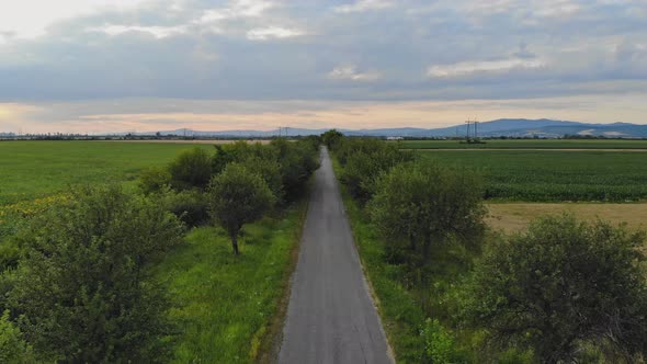 Natural Landscape of Asphalt Road of Local Significance Road Between Fields alt