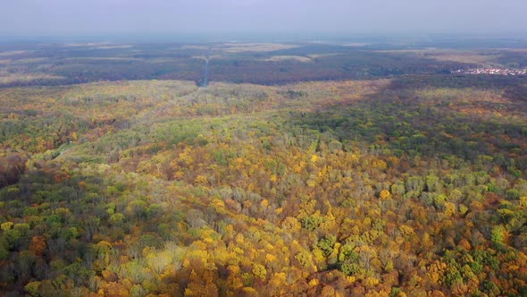 Panoramic view of autumn scenery. Beautiful woods in fall season. alt