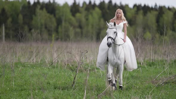 Romantic Princess in White Wedding Dress is Riding Horse on Field Fairytale and Fantasy alt