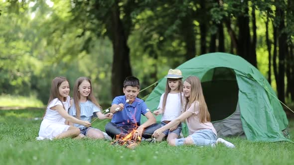 Family picnic in nature. Children with their mother fry marshmallows on skewers alt