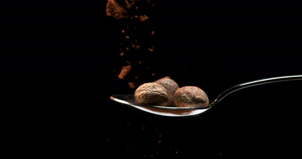 Nutmeg, myristica fragans, Nut falling on Powder against Black Background, Slow Motion 4K alt