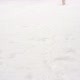 Slow Motion Beauty - Happy Dog Runs in Winter Over Snowy Glade - VideoHive Item for Sale