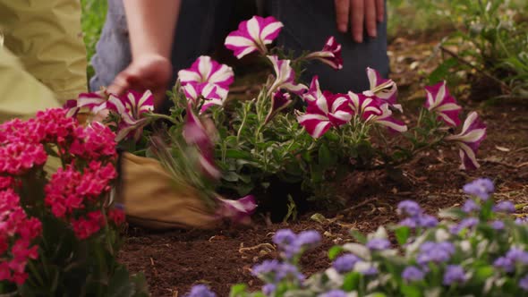 Mother and son planting flowers in yard. Shot on RED EPIC alt