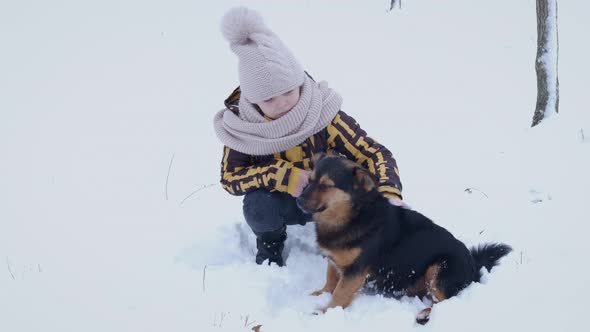 Meet a Dog in the Forest alt