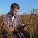 A Farmer or Agronomist Sits in the Middle of a Mature Soybean in a Field and Makes Notes on a Tablet - VideoHive Item for Sale
