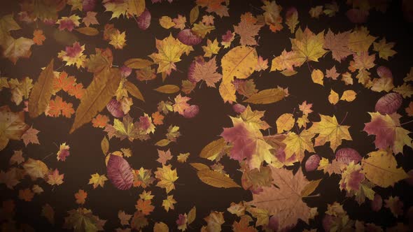 Autumn Leaves Falling Background