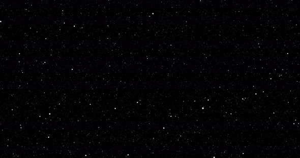 Twinkling star particles on starry black night background.