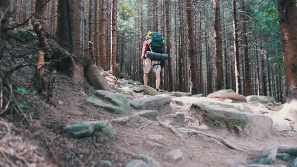 Tourist with a Backpack Walking Up Along the Stone Mountain Trail in the Forest alt