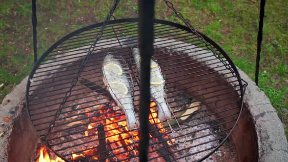 Delicious Trout with Spices Roast on a Grill Over a Fire