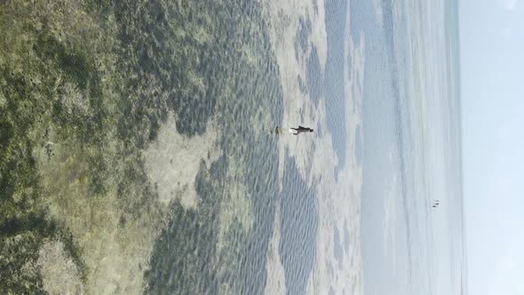 Vertical Video of a Coastal Landscape in Zanzibar Tanzania Aerial View alt