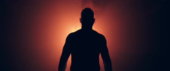 Boxer Silhouette alt