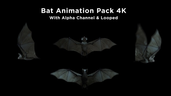 Bat Pack 4K