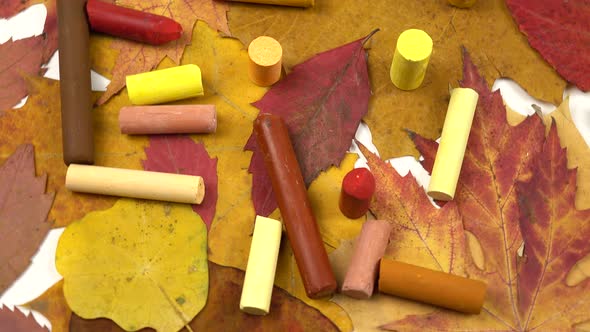 Natural materials for creativity and painting lie on a table. alt