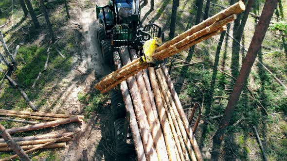 Harvester Is Stacking Processed Trunks of Trees alt