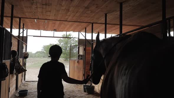 Rider Comes Out of the Stables Holding a Team of His Horse, Out of the Stables at Sunset alt