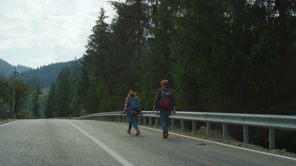 Friends Trekking Mountains Road in Forest Nature alt
