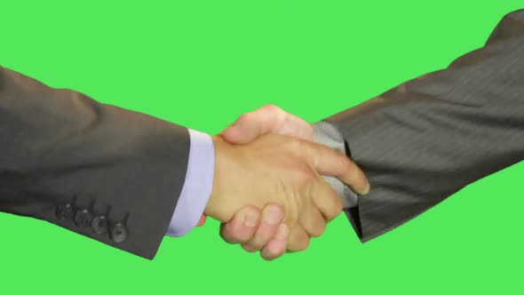 Business male and female shaking hands