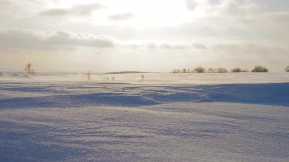 Snow Weather Climate Concept alt