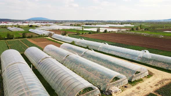 Aerial View Fabulous City Where Vegetables are Grown alt