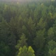Aerial Forest - VideoHive Item for Sale