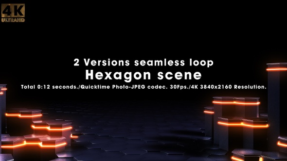 Hexagon Scene