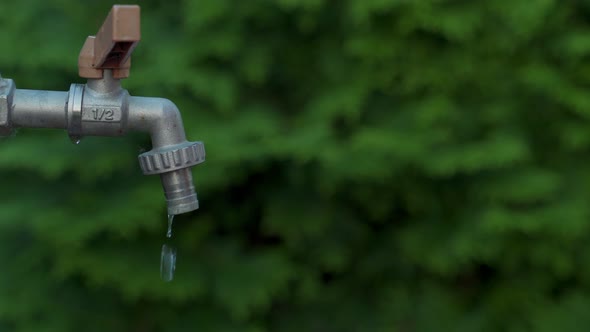 Closeup of a Dripping Street Crane alt