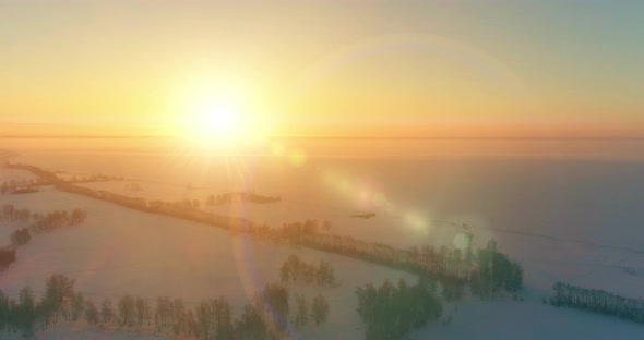 Aerial Drone View of Cold Winter Landscape with Arctic Field, Trees Covered with Frost Snow and alt