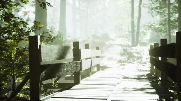 Old Wooden Bridge Over a Small Stream in a Park alt
