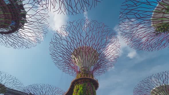 Time lapse supertree grove Futuristic view of amazing illumination with Night light show. alt