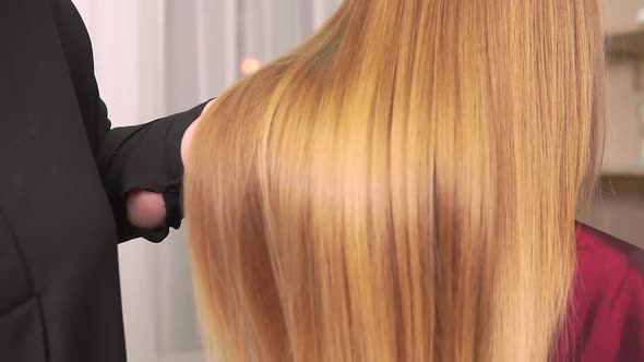 Closeup of Beautiful Healthy Blonde Hair in the Hands of a Hairdresser