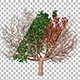 Four Season Tree Pack - VideoHive Item for Sale