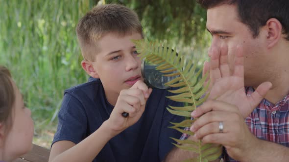 Boy at outdoor school looking at fern with teacher