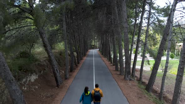 Pushout Aerial of Couple Walking Forward on Path By Trees in Spain alt