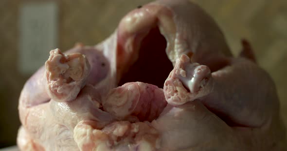 Close up of a raw, whole turkey. alt