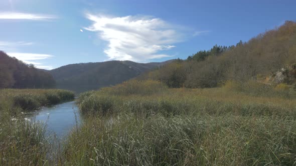 Lake with water reeds in Plitvice National Park alt