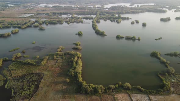 Kerala river with mangroves