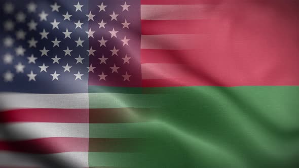 USA Madagascar Flag Loop Background 4K