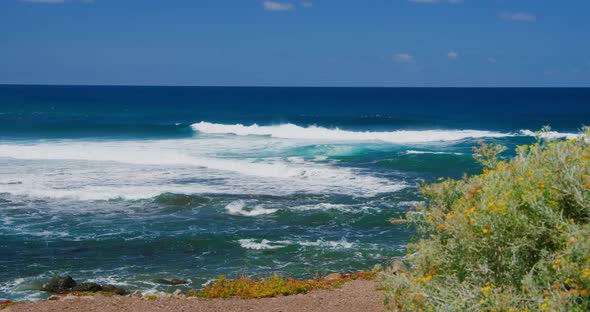 Waves Splashing on the Shore alt