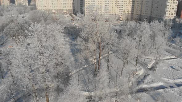 Flying Over City Park in Winter and Moscow, Russia