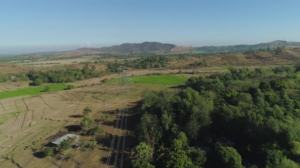 High Voltage Power Line alt