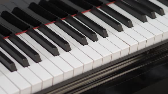 Grand piano. Professional piano keys self playing. close-up seamless loop. for classical musical